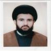 استاد سید مرتضی میرکتولی: