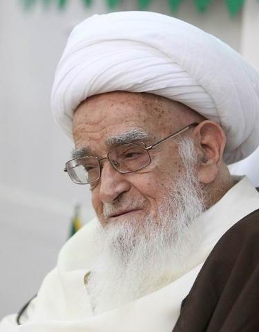 آيت الله العظمي صافي