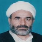 استاد محمد جواد انواری