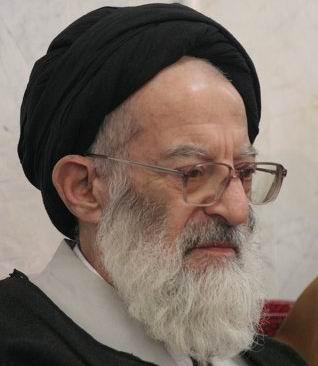 آیت الله العظمی شبیری زنجانی