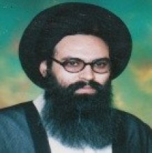 استاد سید طه موسوی
