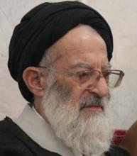 آیت الله العظمی شبیری زنجانی
