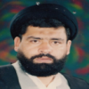 استاد سید حسن میر سید