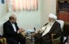 آیت الله العظمی صافی گلپایگانی