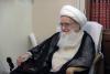 آیت‌الله العظمی صافی گلپایگانی